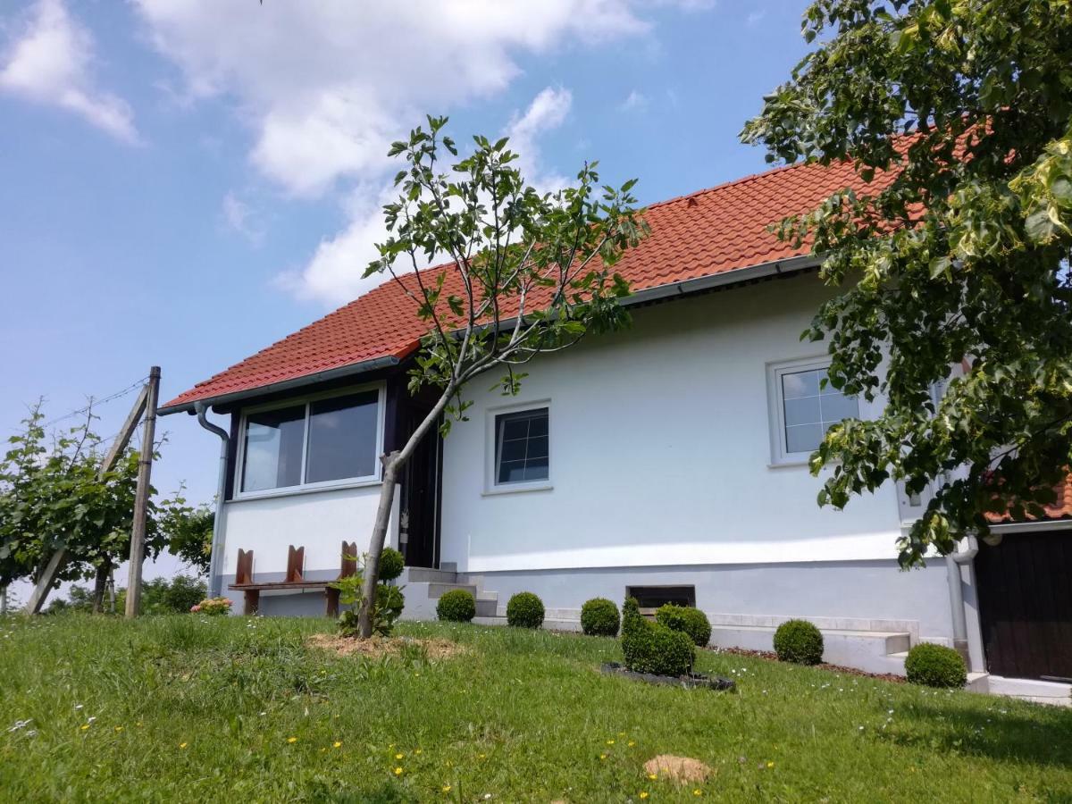 Villa Kuca Za Odmor ,,Oletic 2" Sveti Martin Na Muri Esterno foto