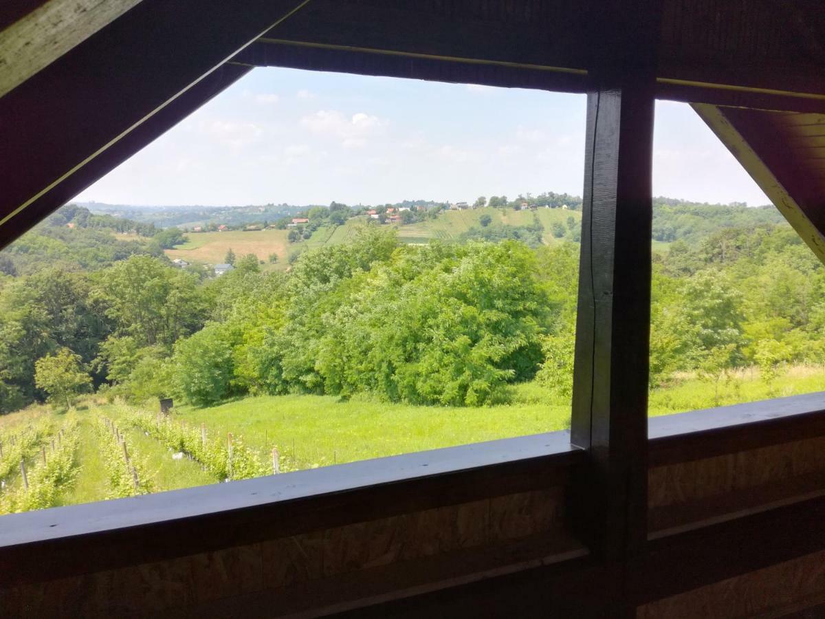 Villa Kuca Za Odmor ,,Oletic 2" Sveti Martin Na Muri Esterno foto
